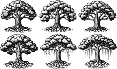 Stylized tree vector set with detailed canopies, exposed roots, and unique forms for nature, artistic, and educational design projects.
