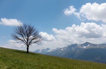 mountain landscape with blue sky