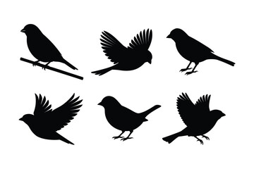 Obraz premium House bird silhouette vector illustration, Set of House bird silhouette