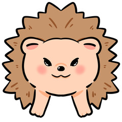 hedgehog
