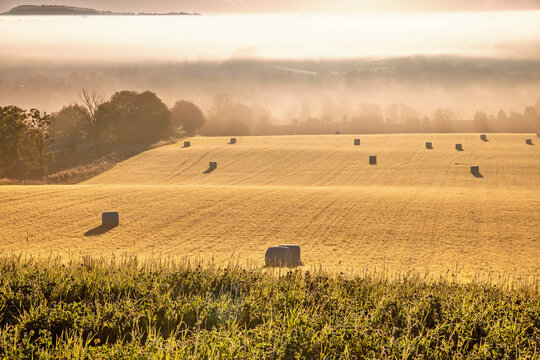 Bales on a stubble field a misty morning at a rural landscape