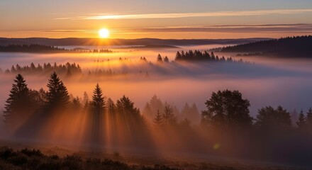 Golden Sunrise Crepuscular Rays Illuminating Misty Forest Landscape
