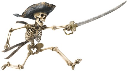 skeleton of a skeleton