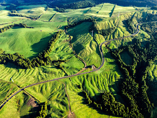 Road Through Misty Green Hills