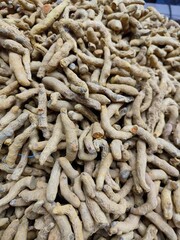 Pile of Dried Turmeric Roots