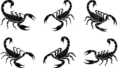 Scorpion silhouettes collection, black vector icons, desert arachnids, poisonous insects, animal claws, pincers, tails, dangerous creatures, nature wildlife illustration