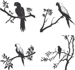 set of birds