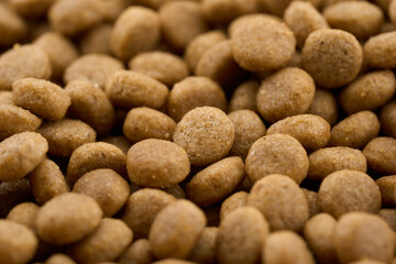 closeup of pet dog cat food kibble feed pellet background texture