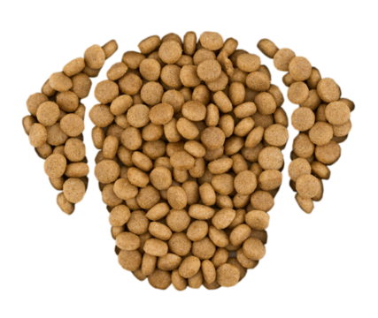 flat lay pet dog cat food kibble feed pellet in dog head shape cutout