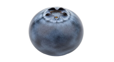 Isolated blueberry fruit closeup; delicious summer snack; fresh single berry; nutritious food