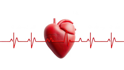 Heart with heartbeat isolated on transparent background, a hollow muscular organ that pumps the blood through the circulatory system by rhythmic contraction