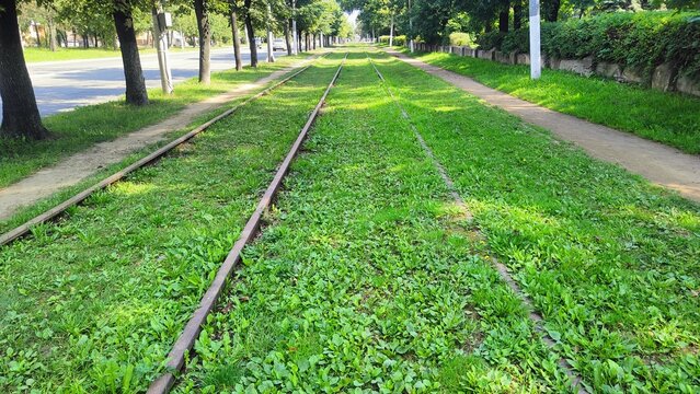 Abandoned tram tracks. Rails in thicket of grass. Old urban public transport infrastructure turned into park along road