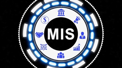 Conceptual illustration of management information system with financial and business elements © Ayan stock