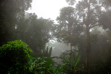 Obraz premium The natural background of the sky above several large mountains, with a view of clouds, trees, mist and a cool breeze blowing throughout the journey.