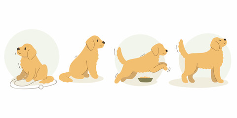 Golden retriever dog poses showing different activities like sitting playing eating and standing