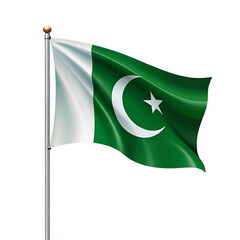 A creative vector design of the Pakistan flag featuring