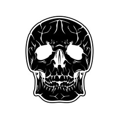 Skull Vector Image And Illustration