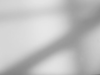 Background shadow white light wall floor backdrop overlay leaf mockup summer sunight overlay nature on room cement abstract blur muckup effect grey minimal platform for presentation product