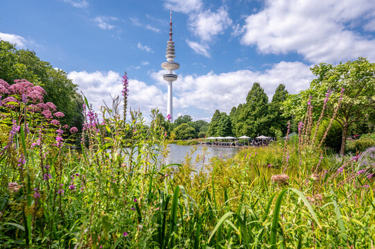 Television tower in Planten un Blomen park, Hamburg, with flowers and greenery