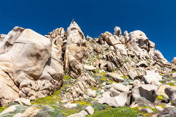 Rock formations with wildflowers at Capo Testa Sardinia by the sea