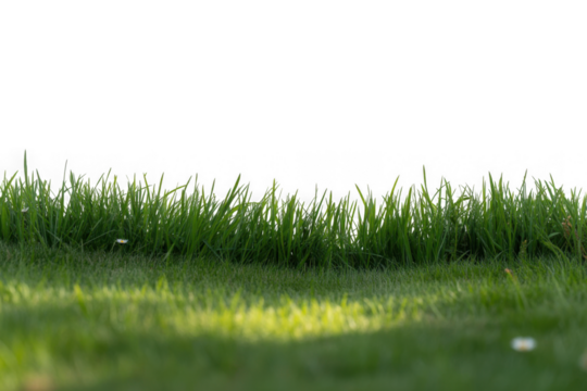 Green grass border, on a transparent background. The horizon of the green lawn. Green field frame, background.png