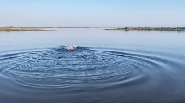 TTA man swims in Lake Aydarkul, Uzbekistan. A guy is enjoying a vacation on a beautiful secluded lake. A journey through Asia. Tourism and freedom