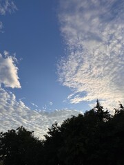 Gwangmyeong Cave: A Journey into Korea’s Underground Fantasy