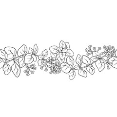 Oregano Branch with Flowers and Leaves Outline Horizontal Seamless Pattern. Essential oil ingredient for cosmetics, spa, aromatherapy, health care, alternative medicine. Vector isolated for design or 