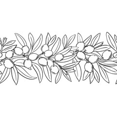 Olive Branch with Flowers, Berries and Leaves Outline Horizontal Seamless Pattern. Organic natural nutritional healthy food ingredient, vegetarian diet product. Vector isolated for design or decoratio