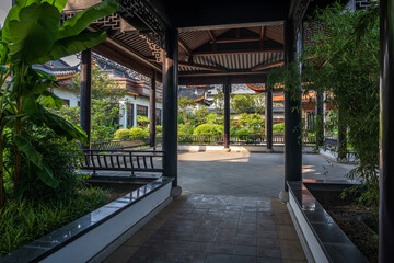 Naklejka premium Tranquil Pathway Through a Lush Zen Garden Embraced by Nature