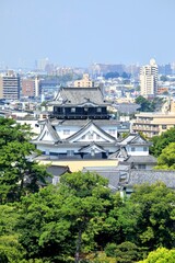 岡崎市、岡崎城と街並み
