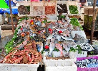 モロッコのエッサウィラ漁港の魚屋のシーフード