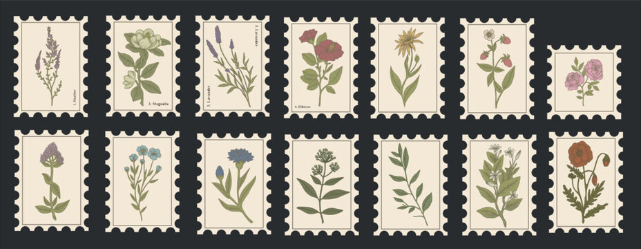 Vintage-style botanical postage stamps featuring detailed illustrations of labeled flowers and herbs like magnolia, lavender, hibiscus, and more. Inspired by antique scientific botanical drawings.