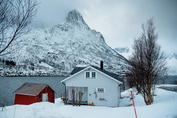 Fototapete bei efototapeten.de bestellen   