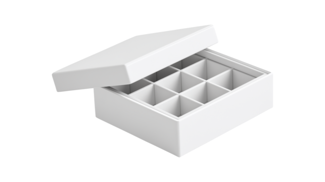 Minimalist household container with divided sections symbolizing tidy lifestyle