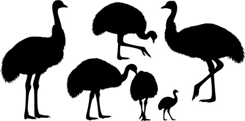 Obraz premium Emu silhouettes, Emu bird silhouette, Emu bird svg, Emu svg, Simple emu silhouette, Emu vector illustration