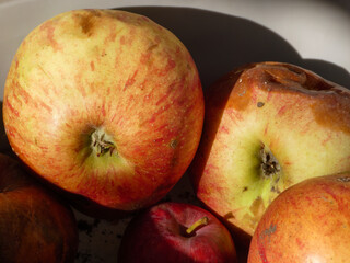 Closeup of Spoiled Red and Yellow Apples.