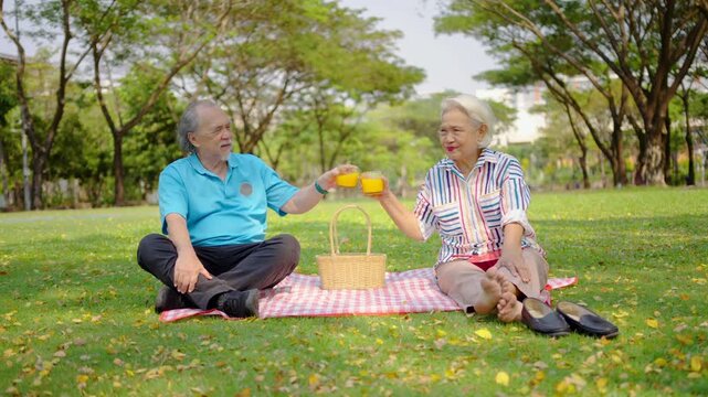 Senior asian man and woman couple of best friend enjoy a delightful picnic under the trees, sipping orange juice and sharing laughter on sunny day in a public park, creating lasting memories together - Powered by Adobe