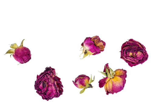 Rose flower dry tea isolated on a white background.Top view