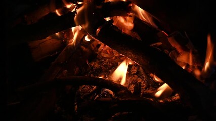 Close up of flame of bonfire burning in the wood. A large fire that is made outside to burn unwanted things, or for pleasure. - Powered by Adobe