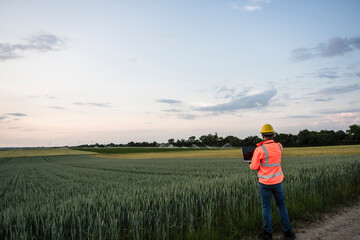 Engineer in reflective clothing using laptop standing by crop in field