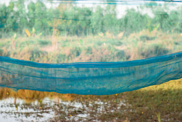 Blue Netting Over Green Field, A blue net against a natural green backdrop.