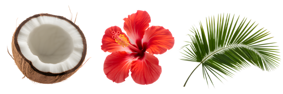 Tropical arrangement featuring a coconut half vibrant red hibiscus flower and a lush green palm leaf against a stark creating a summery vibe
