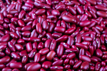 Red Kidney Beans - Phaseolus vulgaris isolated