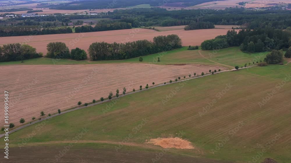 Poster road with trees on the sides leading through a field. drone view on a calm summer day