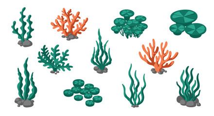 Colorful seaweed and coral collection with natural aquatic plants