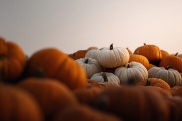 Colorful pumpkins stacked together, showcasing autumn's harvest