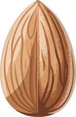 wooden bowl isolated on white background