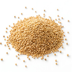 Kodo millet grains isolated on white background, highlighting their small, round shape and nutritious,