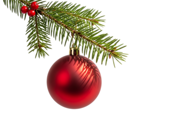 Christmas holiday decoration of a red ornament and evergreen branch Isolated on transparent background